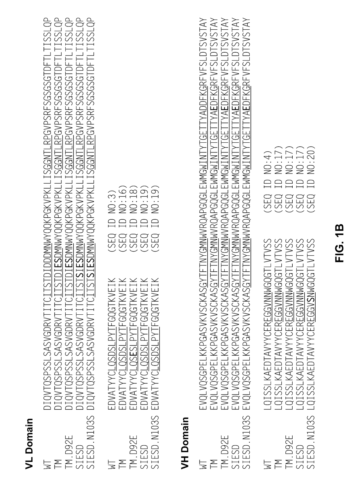 Anti-factor d antibody variant conjugates and uses thereof