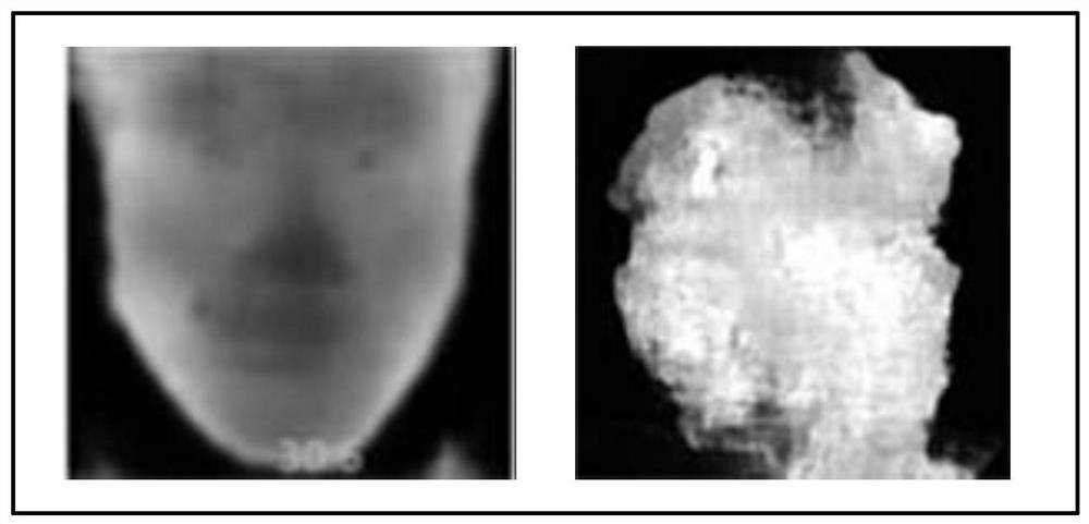 Depth map prediction-based living body detection method and related equipment