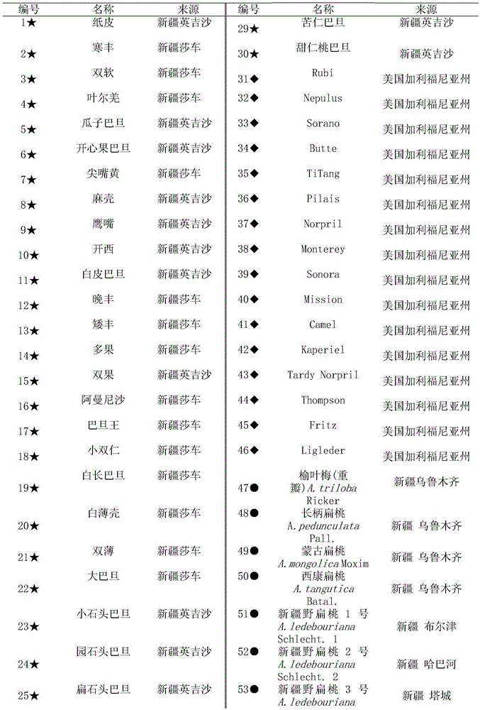 Method for identifying prunus persica plant species based on SSR molecular markers