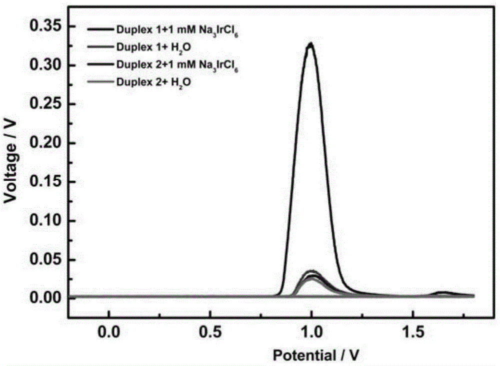 Signal labeled molecule for DNA oxidative damage product 8-hydroxydeoxyguanosine and labeling method