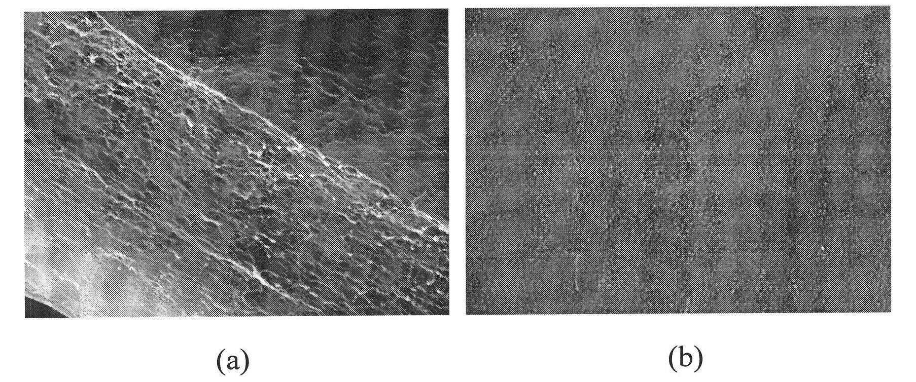 Diene/ether copolymer-based lithium ion gel electrolyte membrane and preparation method thereof