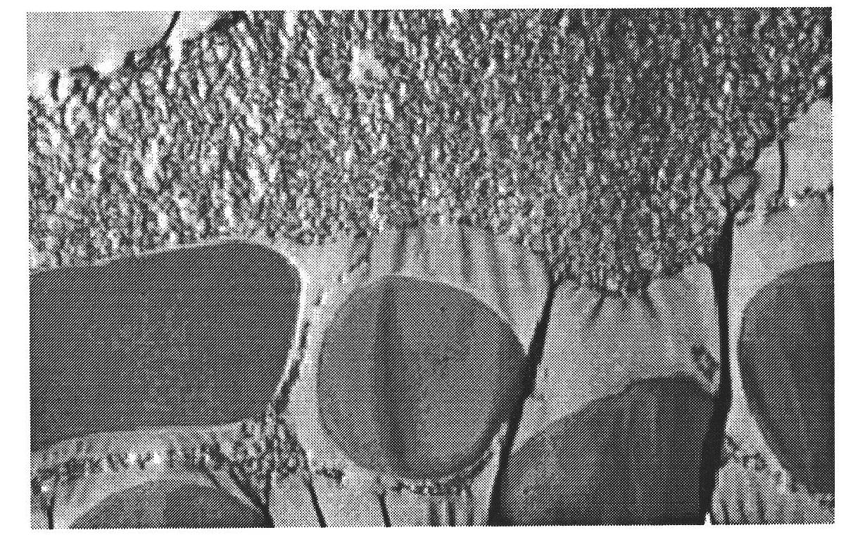 Diene/ether copolymer-based lithium ion gel electrolyte membrane and preparation method thereof