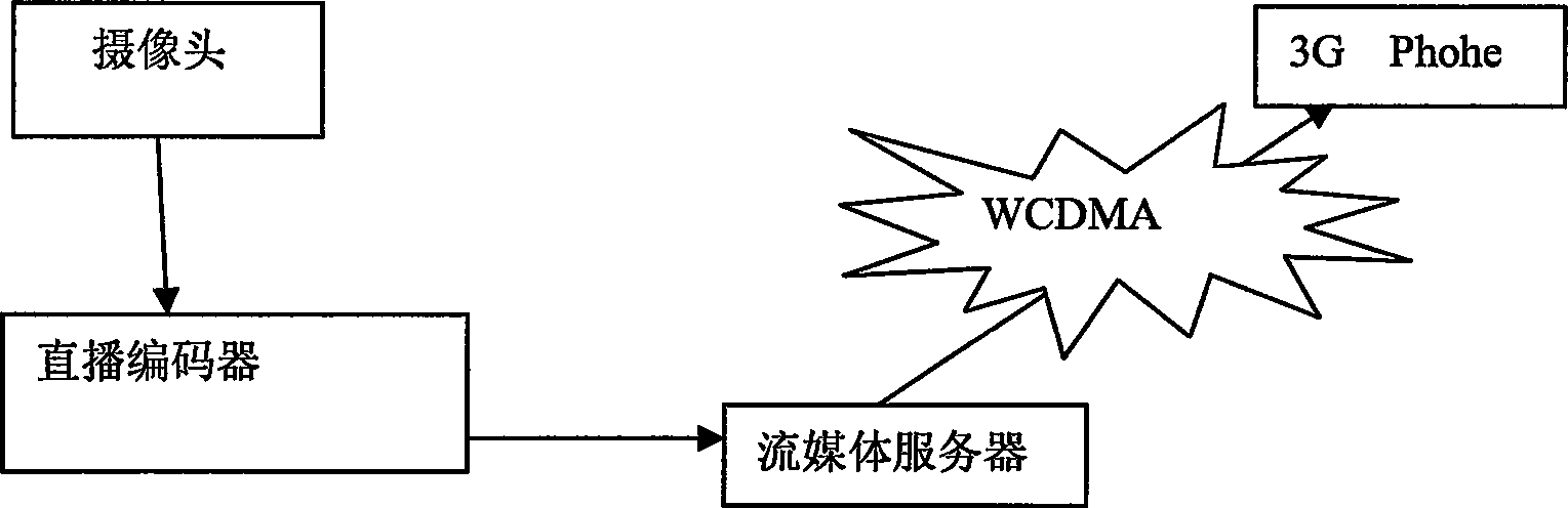 Wireless method and system of monitoring and controlling video based on mobile communication platform in third generation