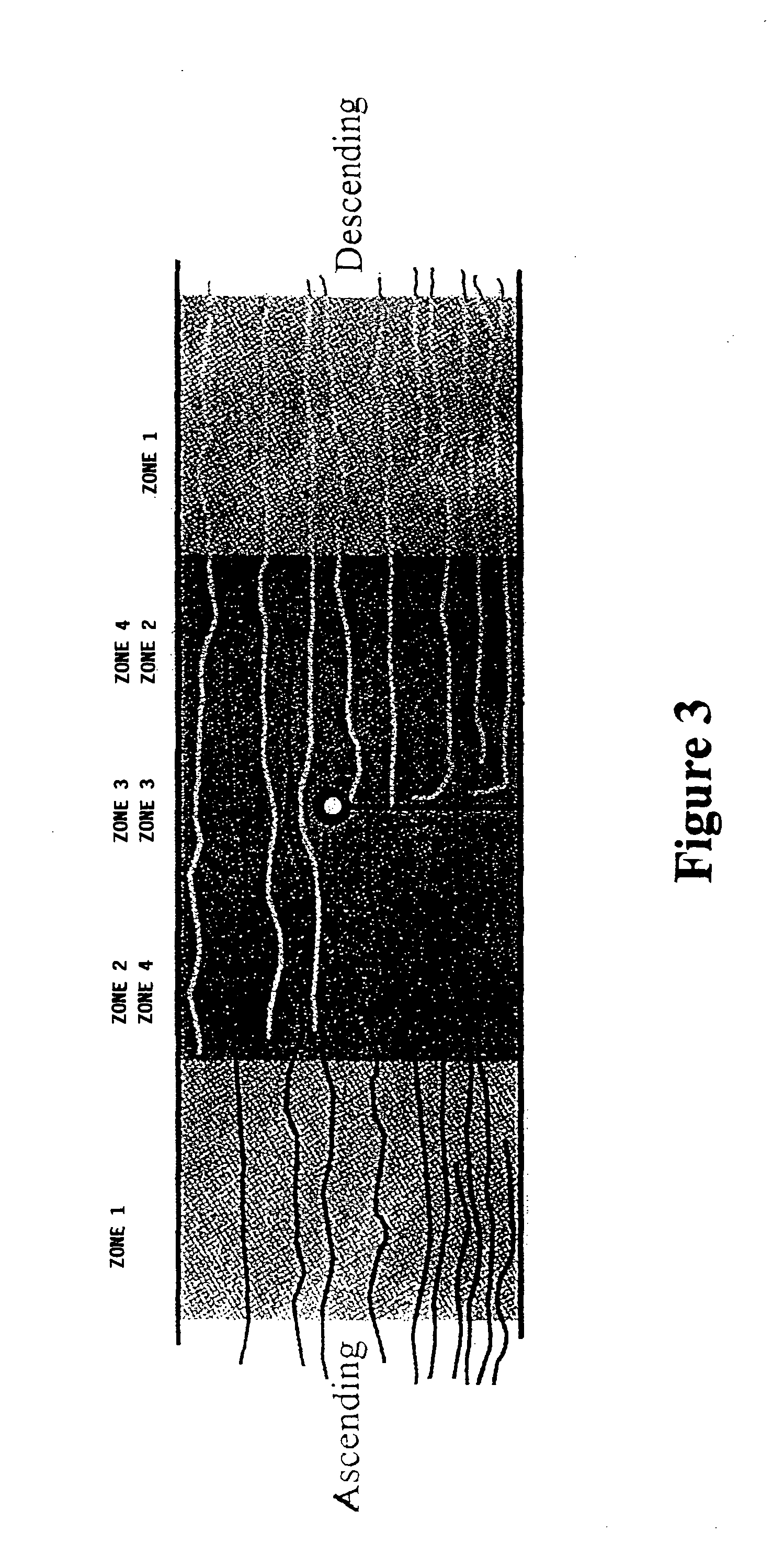 Method of treatment for central nervous system injury