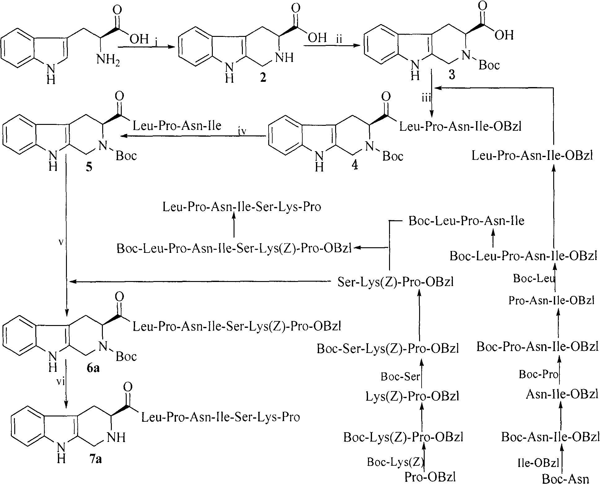 Heterocyclic carboxylic acid-modified anti-tumor oligopeptides and their synthesis, anti-tumor effects and application