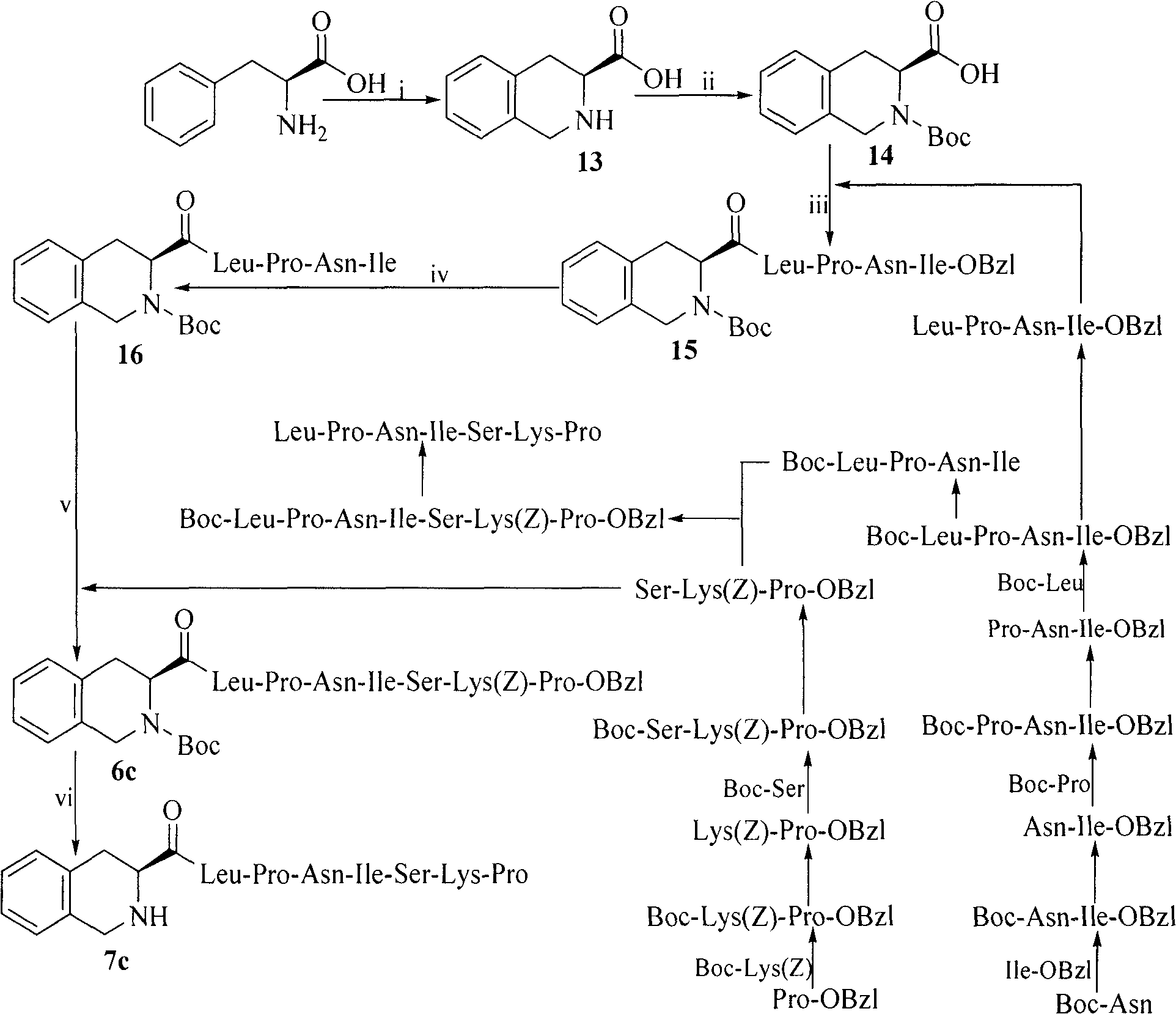 Heterocyclic carboxylic acid-modified anti-tumor oligopeptides and their synthesis, anti-tumor effects and application