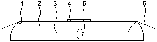 Safe and reliable mouse capture device