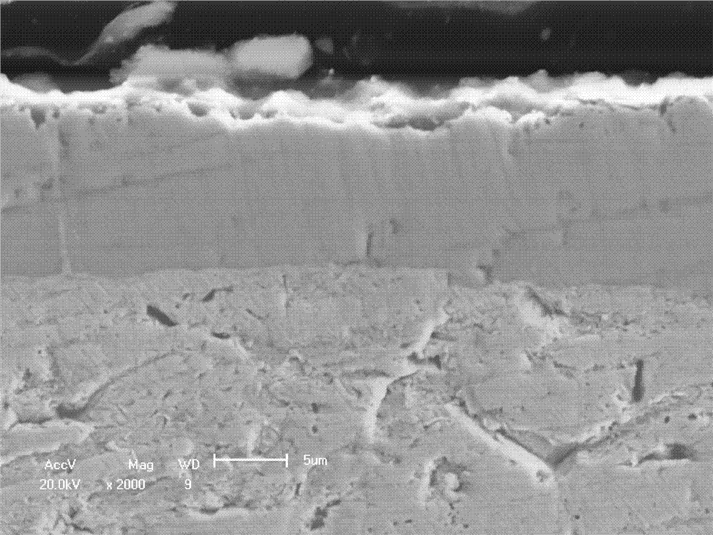 Aluminizing agent and method for preparing Si-B-Y coating on surface of tantalum and tantalum alloy