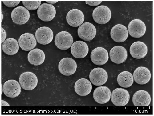 Probe for capturing hirudin polypeptide and application of probe