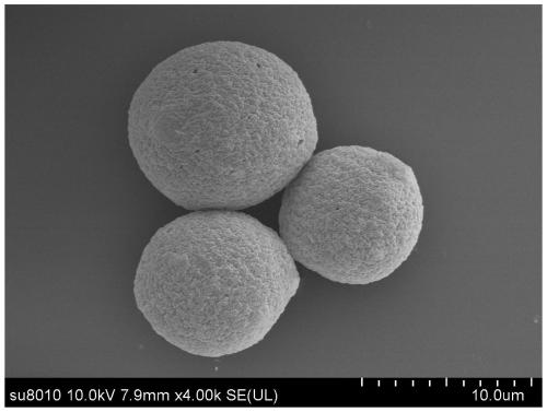 Probe for capturing hirudin polypeptide and application of probe