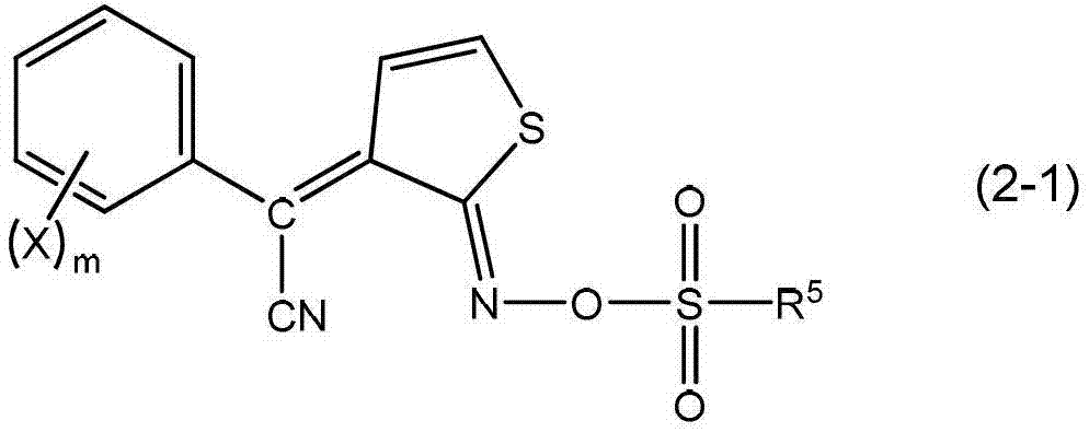 Positive photo-sensitive resin composition and solidification film forming method using same