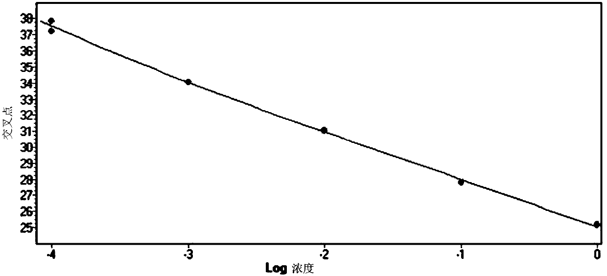 Real-time fluorescent RT-PCR detection method, primer and probe for oat mosaic virus and kit