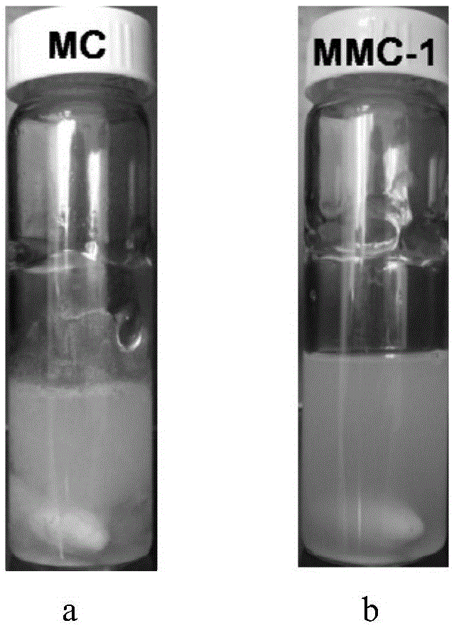 Hydrophilic modification method of methyl cellulose