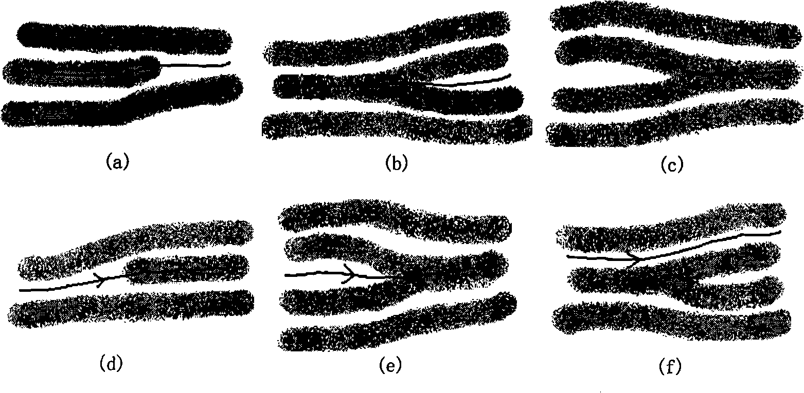 Deformation finger print matching method based on curve coordinate system and transferred reference node