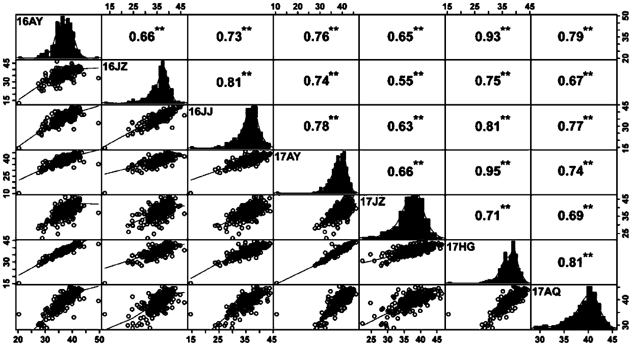 Gene in significant correlation with characters of fiber yield, SNP marker and application of SNP marker