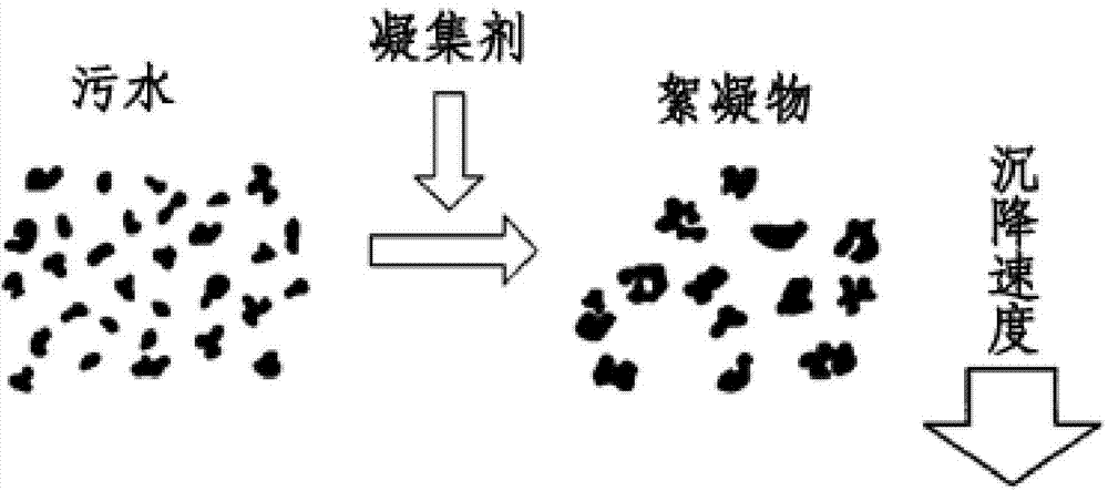 Wastewater-purifying apparatus and wastewater-purifying method