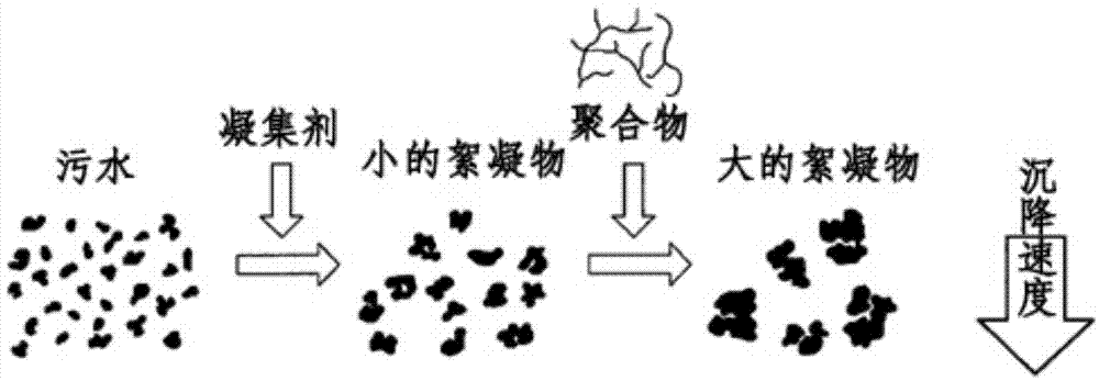 Wastewater-purifying apparatus and wastewater-purifying method