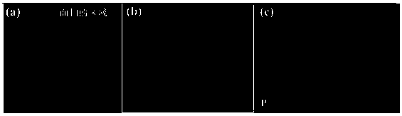 CQDs/P photocatalysis composite material and preparation method and application