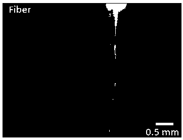 Laser-driven macroscopic liquid flow device and method based on optical fiber