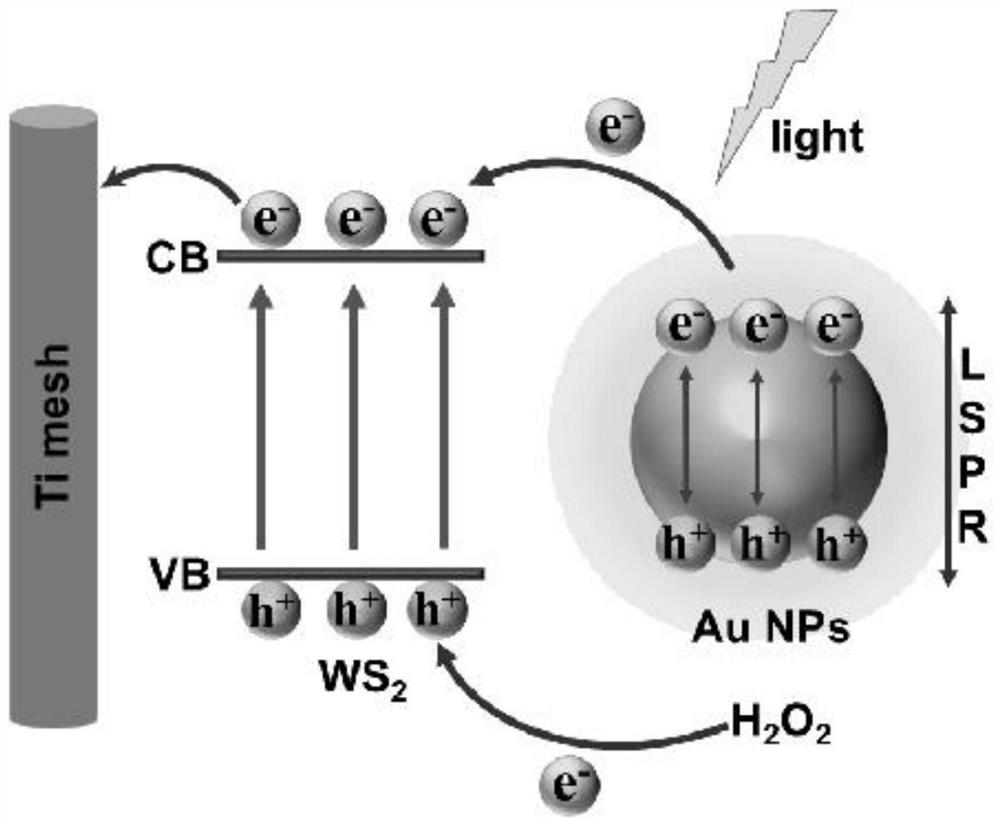 A dual-signal amplifying biosensor assembly method and its application