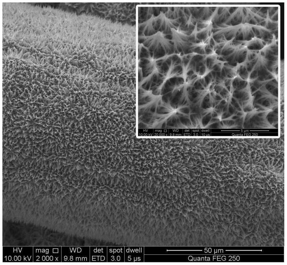 A dual-signal amplifying biosensor assembly method and its application