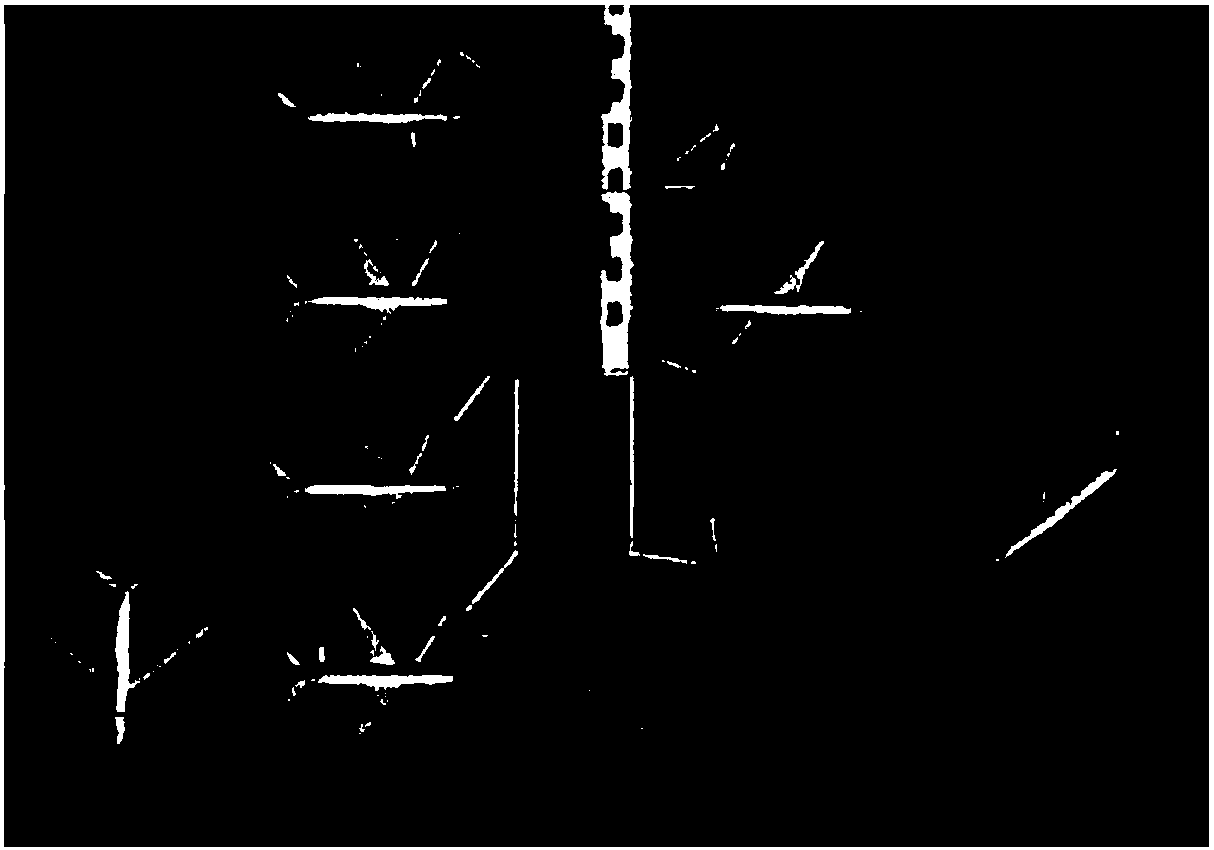 A remote sensing image target detection method based on deep neural network