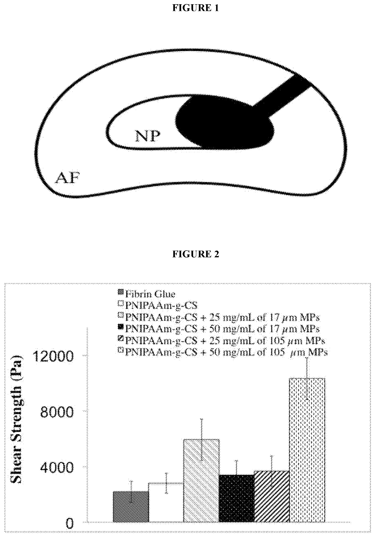 Methods and compositions for inducing multi-targeted healing of intervertebral disc defects