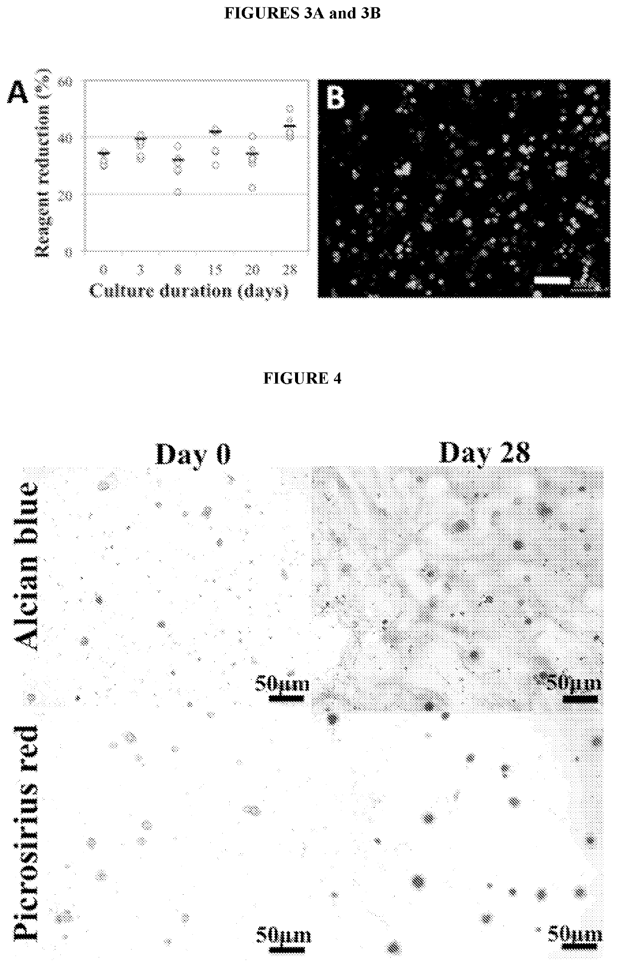 Methods and compositions for inducing multi-targeted healing of intervertebral disc defects