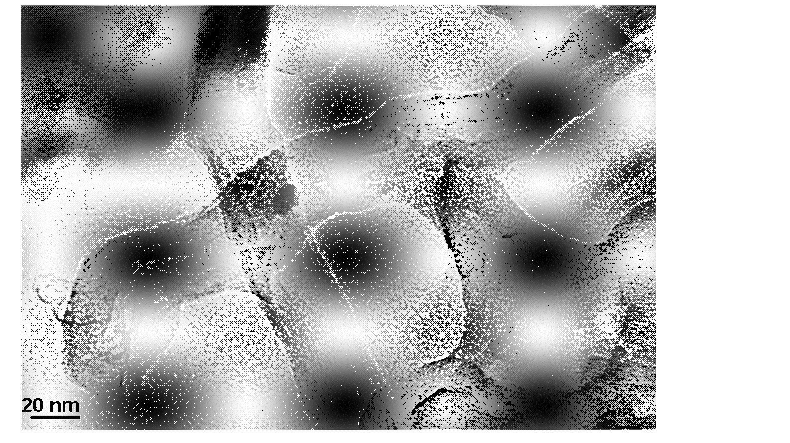 Conductive polymethyl methacrylate composite material and preparation method of the conductive polymethyl methacrylate composite material