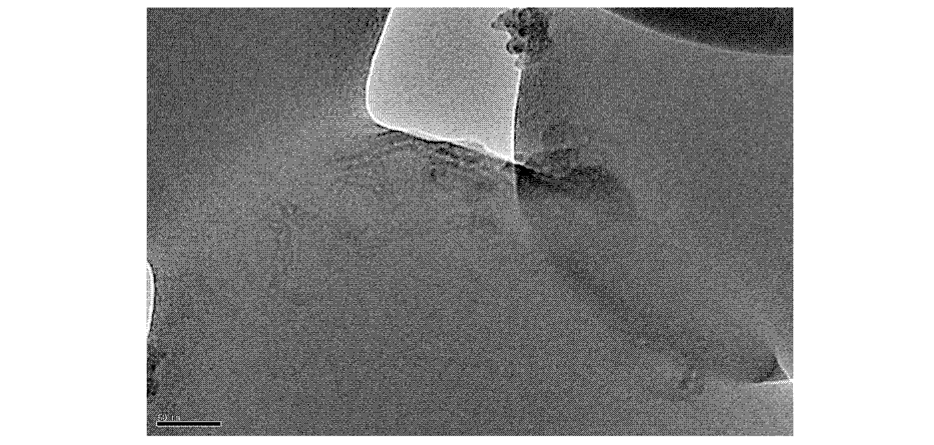 Conductive polymethyl methacrylate composite material and preparation method of the conductive polymethyl methacrylate composite material