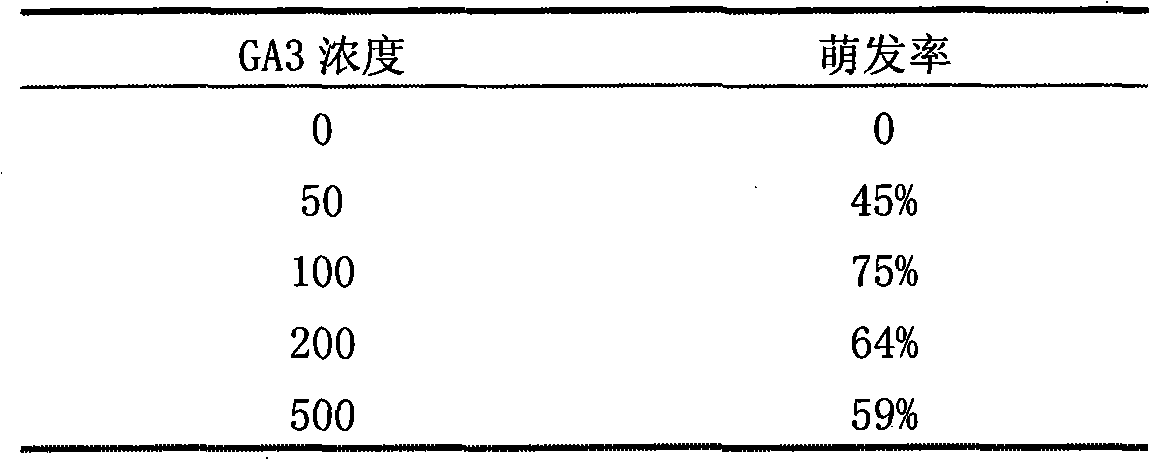 Method for sprouting seeds of polyphylla Smith var.ynynanensis (Franch.) Hand-Mazz