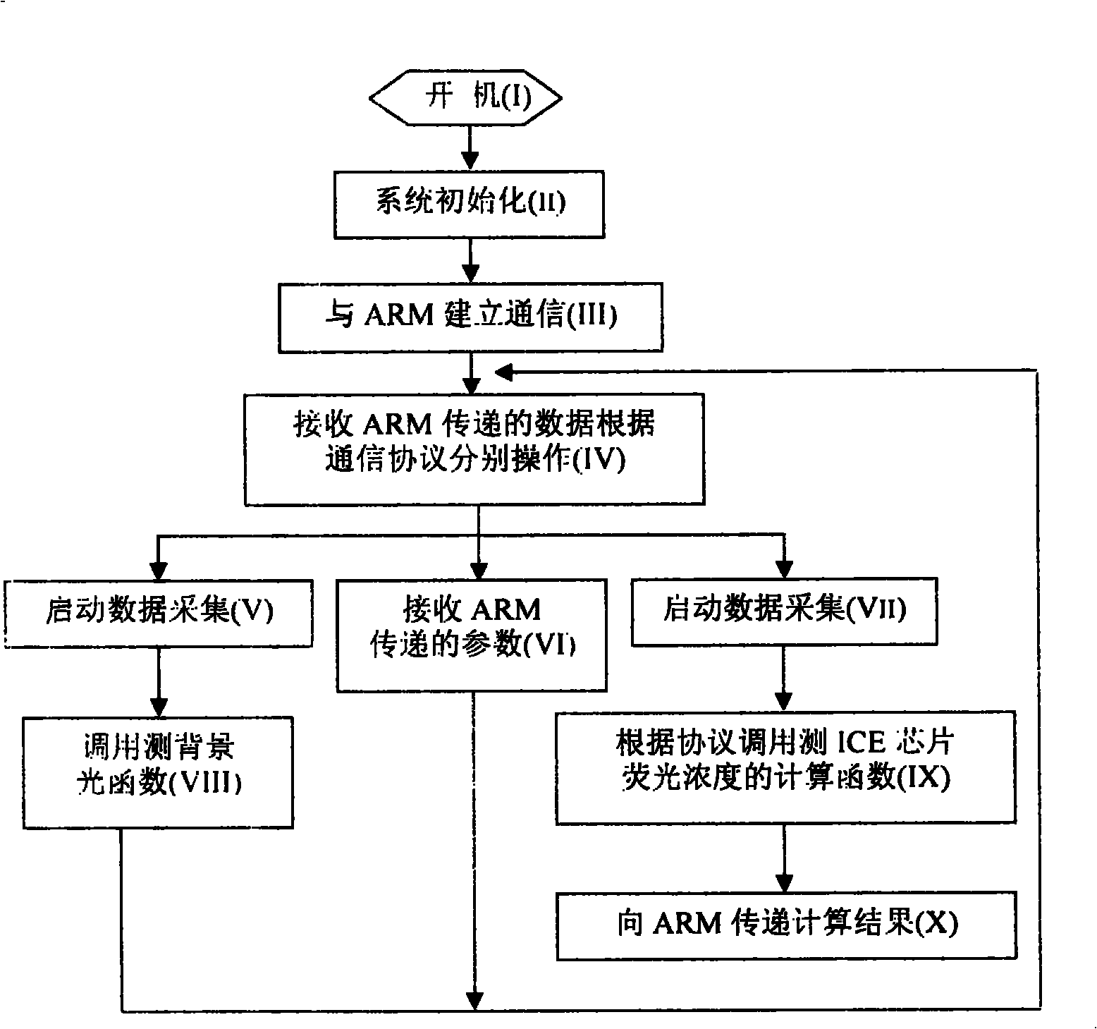 Integrated capillary electrophoretic chip scanning analysis system and method