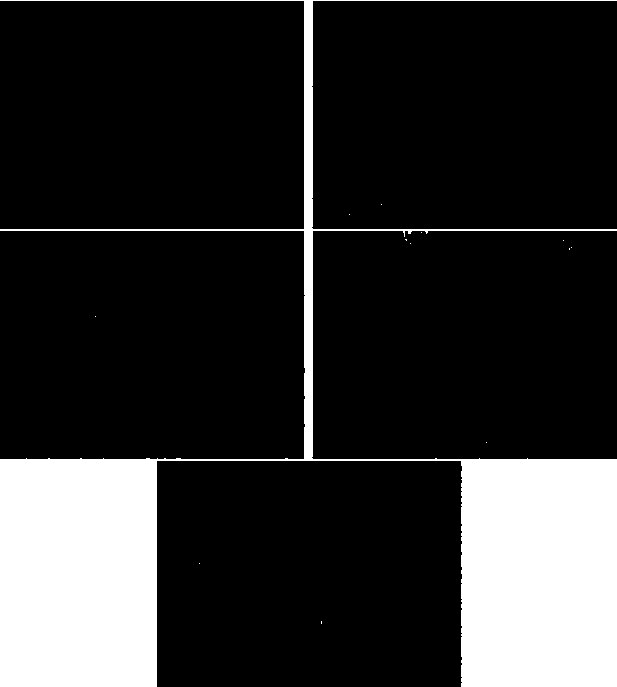 Nonmetal-doped titanium dioxide, preparation method thereof and degradable plastic film