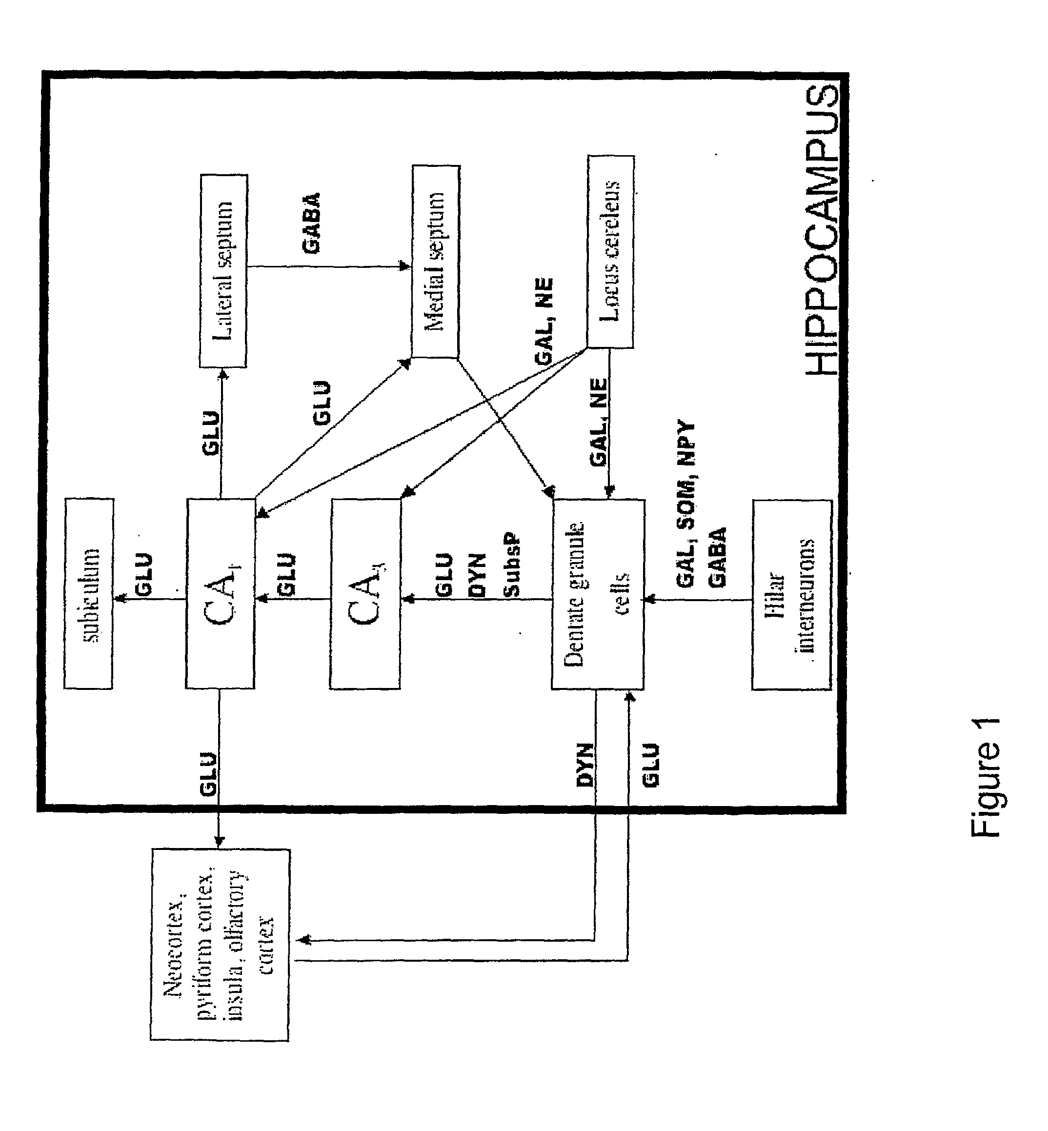 Methods and Compositions Related to Improving Properties of Pharmacological Agents Targeting Nervous System