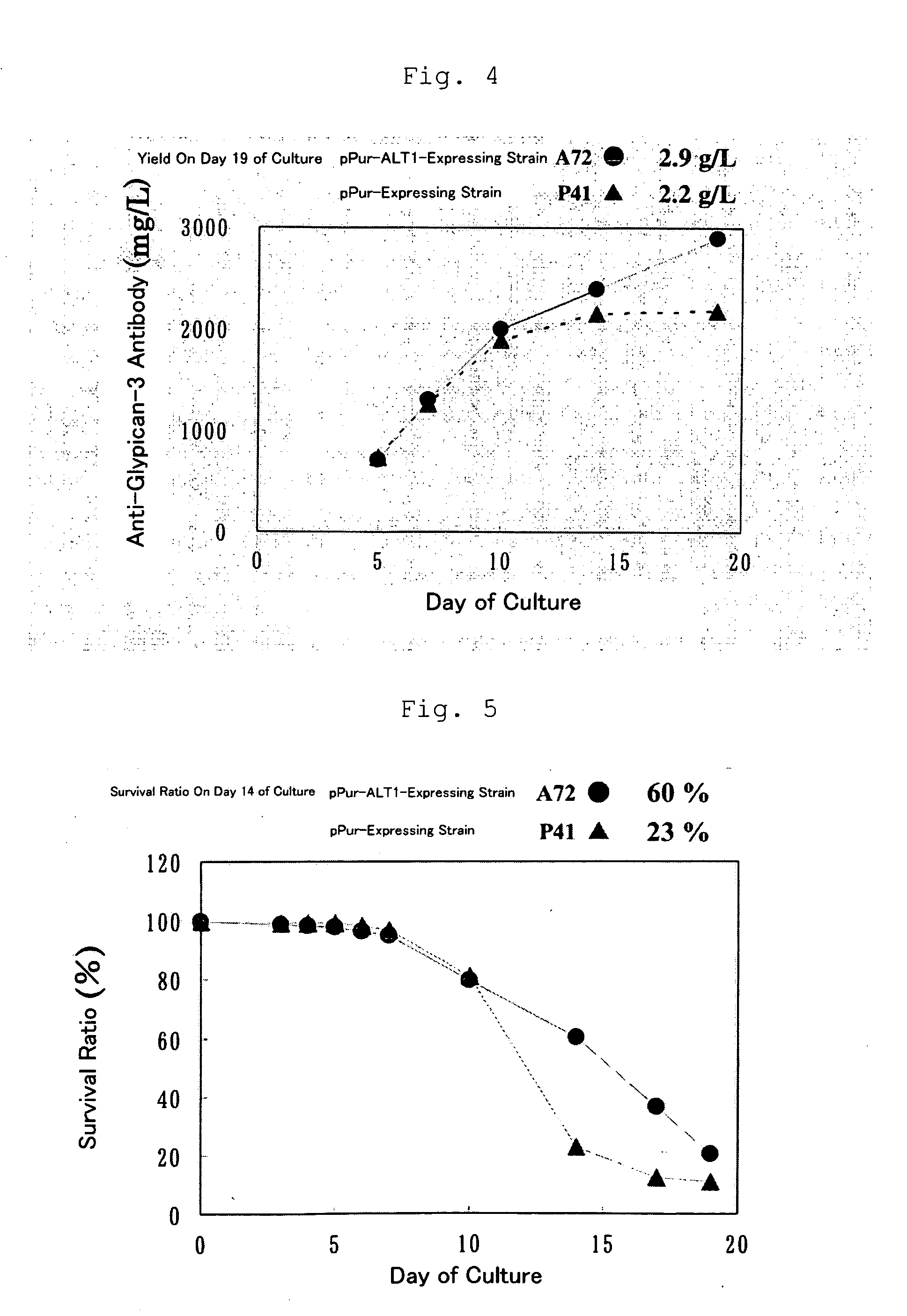 Method of producing heterogeneous protein