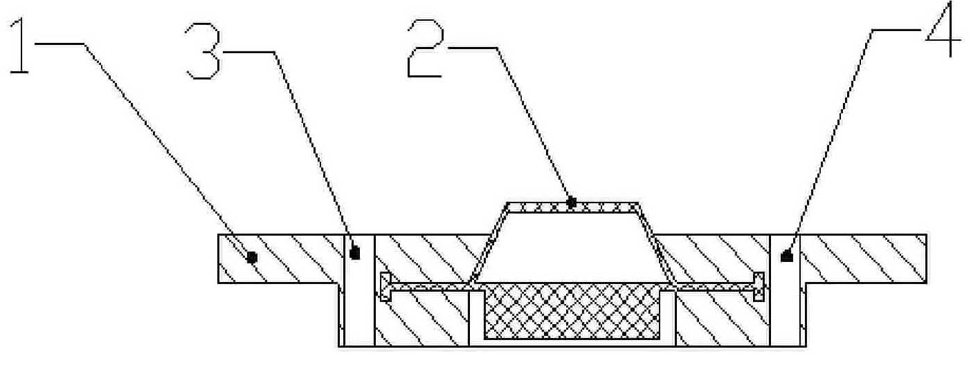 Plastic shell lithium ion battery and its making method