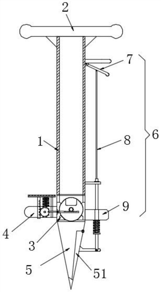 A fertilization device for planting and maintaining camellia oleifera