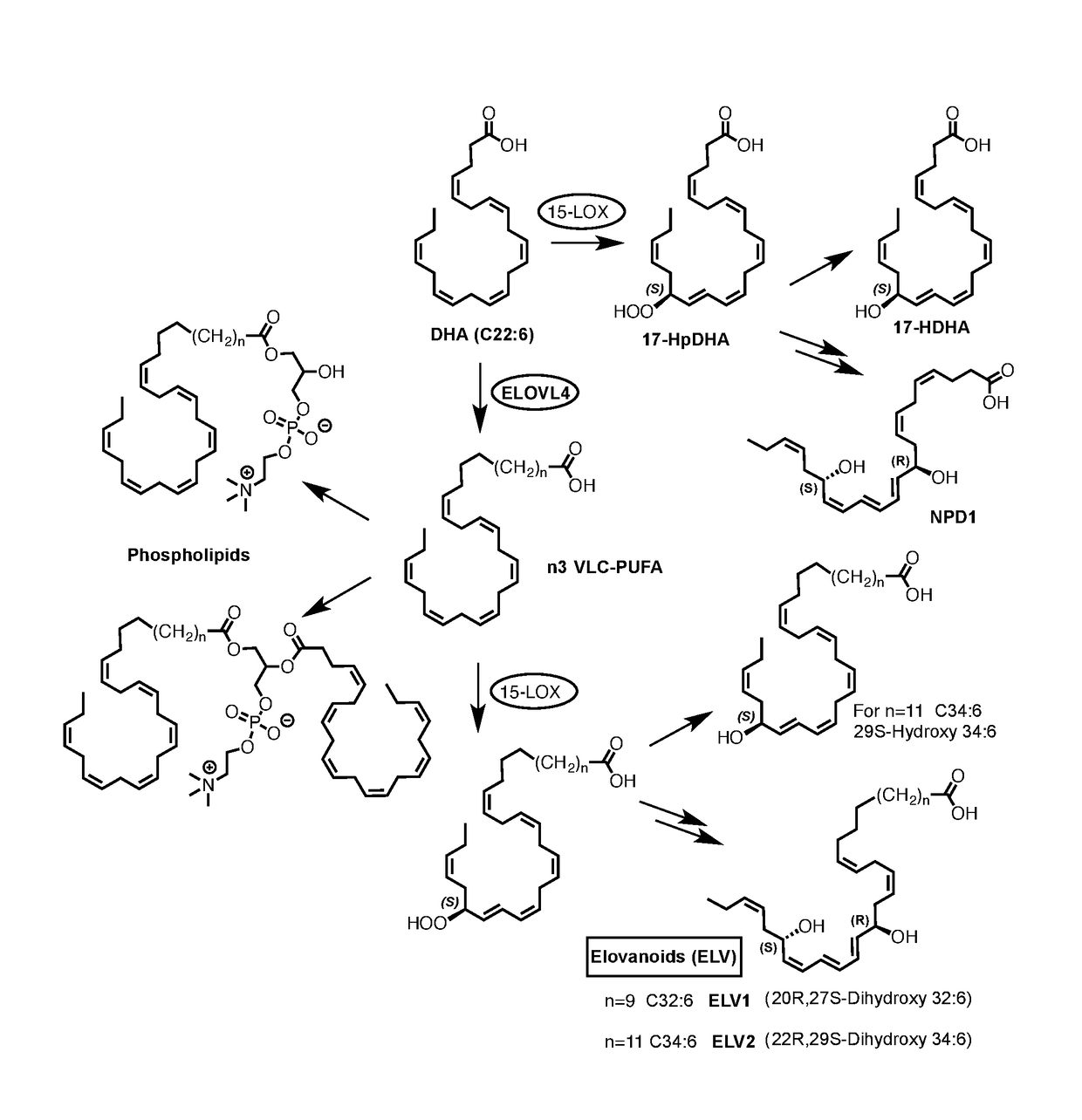 Compounds, compositions, and methods for the treatment of inflammatory, degenerative, and neurodegenerative diseases