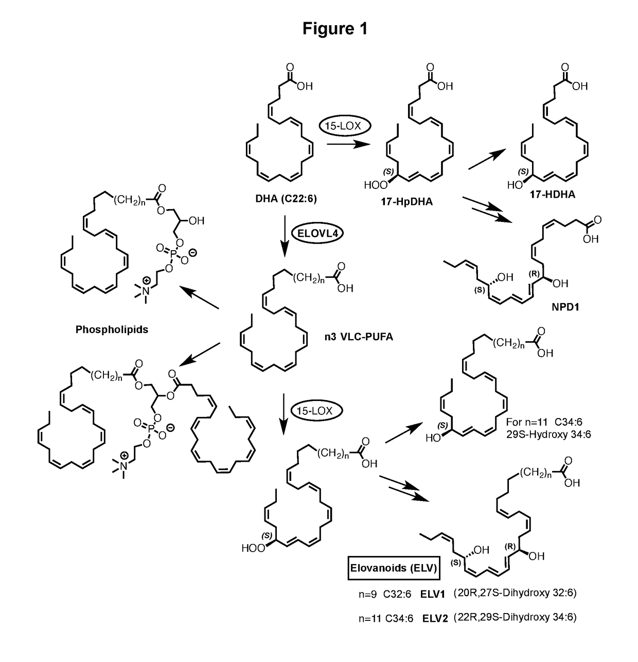 Compounds, compositions, and methods for the treatment of inflammatory, degenerative, and neurodegenerative diseases