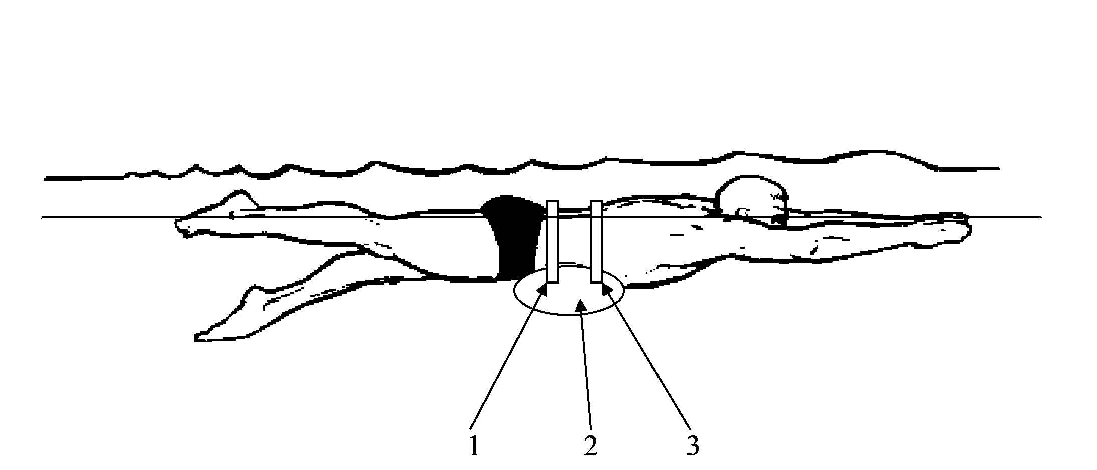 Swimming speed increasing device