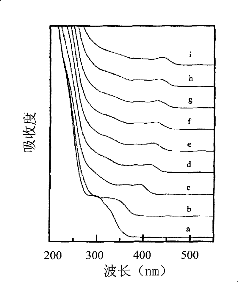 Nucleic acid sensor based on quantum dots and preparation method and detection method thereof