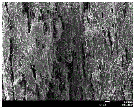 Low-density sound-absorbing and insulating polymer composite material and preparation method thereof