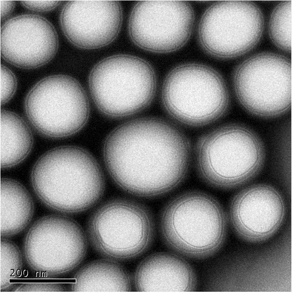 Hyaluronic acid-cystamine-polylactic acid-glycollic acid graft polymer and preparation method thereof