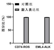 Lung cancer fusion gene nucleic acid detection quality control product based on CRSIPR-Cas9 technology and preparation method thereof