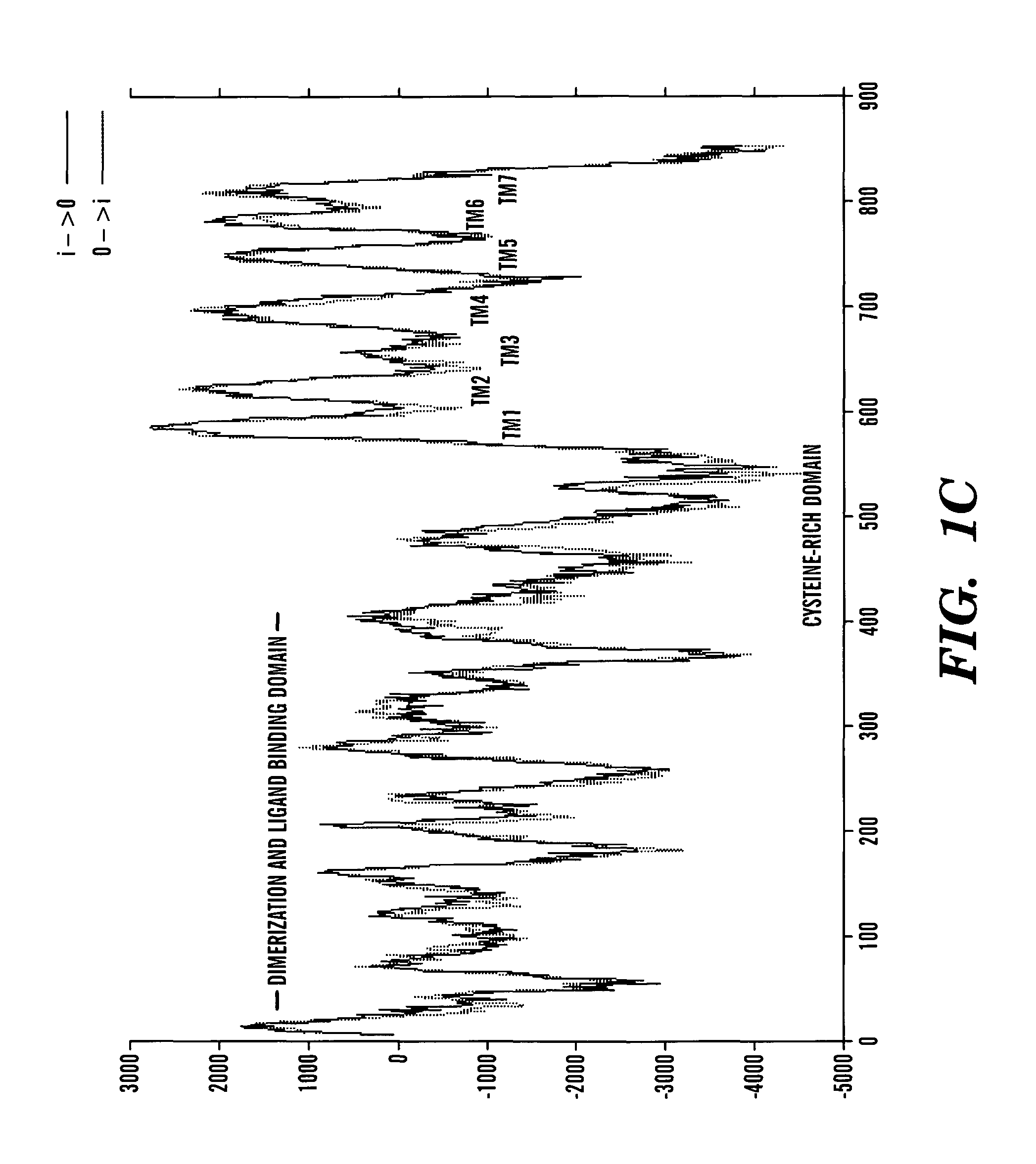 T1R3 transgenic animals, cells and related methods