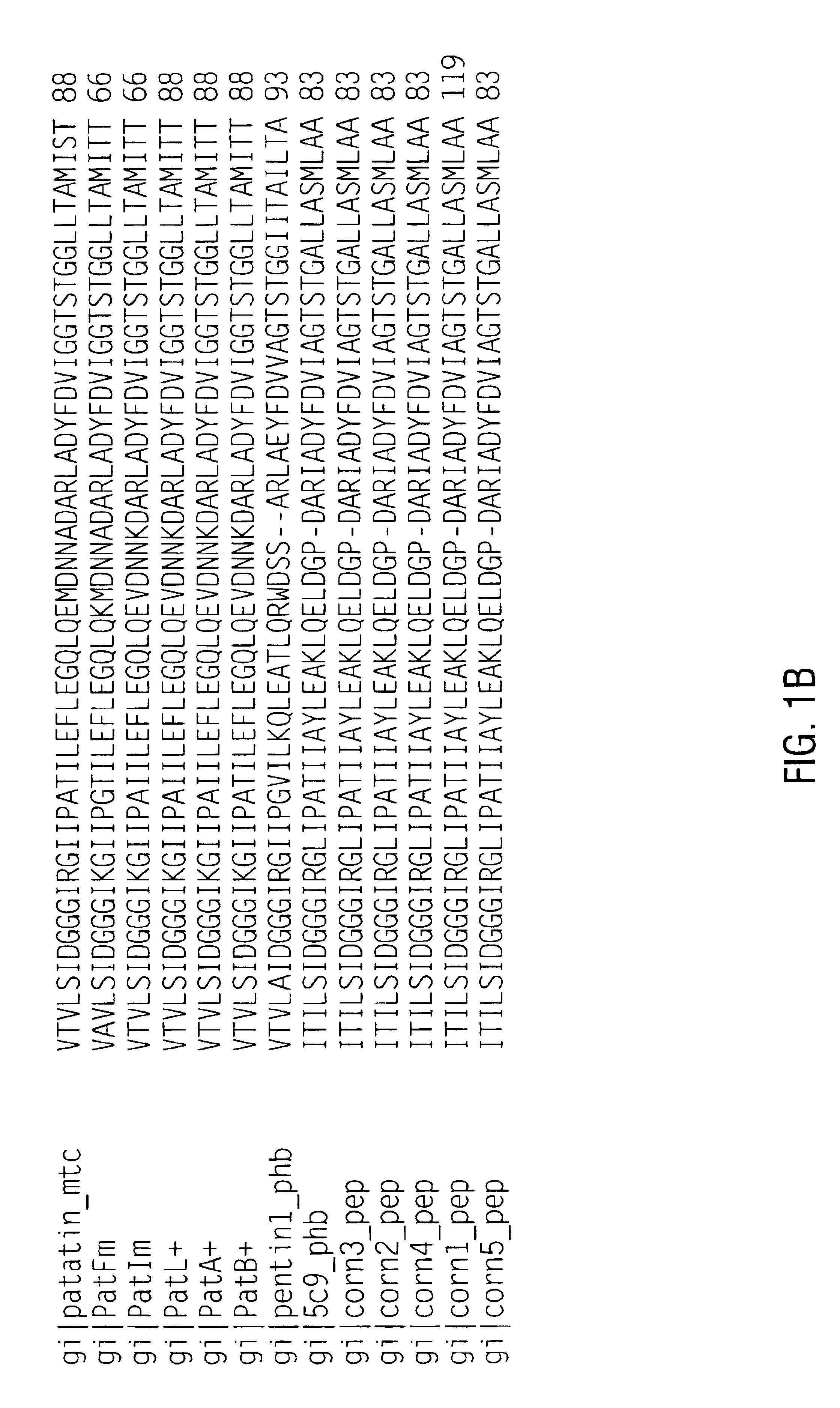 Preparation of deallergenized proteins and permuteins