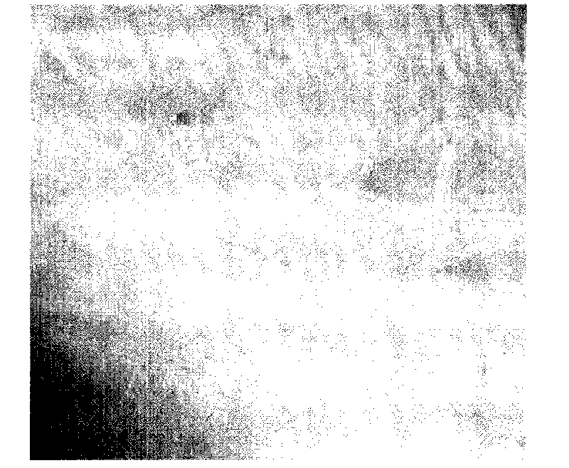 Deinking method of waste paper alkaline enzyme