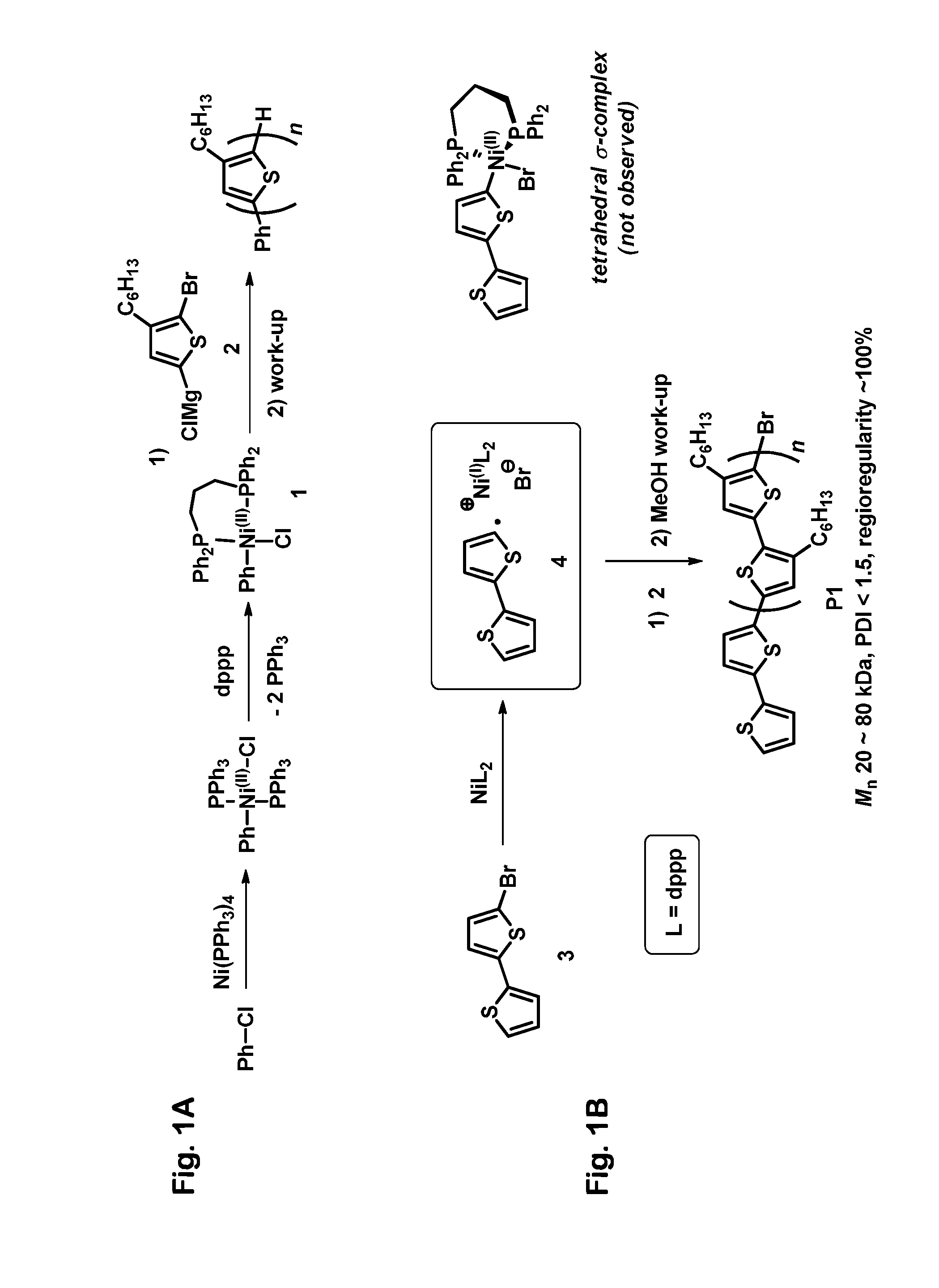 Controlled Radical Polymerization, and Catalysts Useful Therein