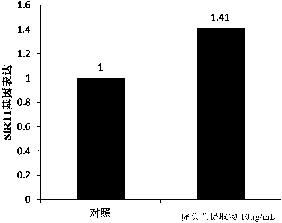 Application of cymbidium hookerianum extract