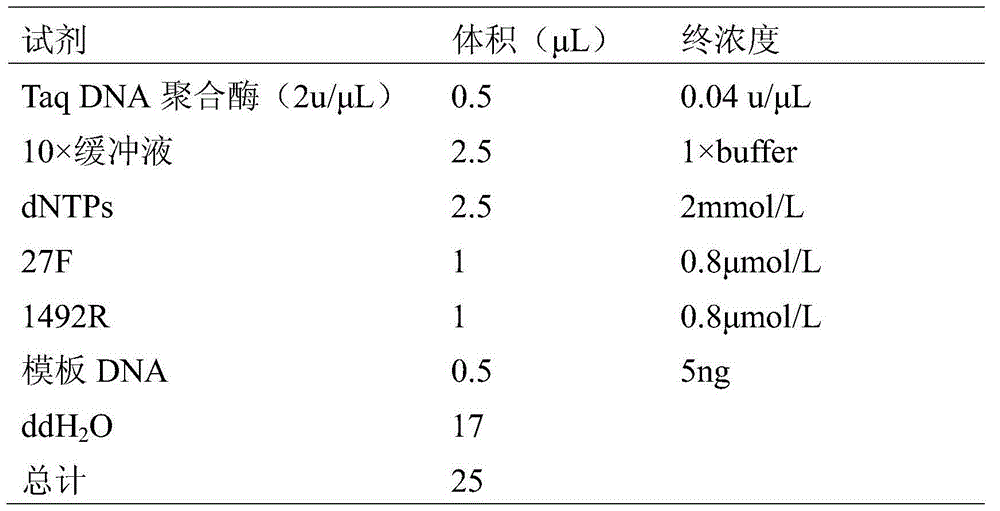 Microbacterium sp. strain and application thereof